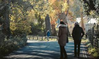 Family Workshop: Ben Plants a Butterfly Garden at Standen