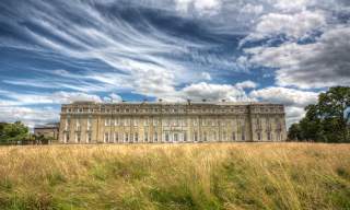 Petworth House and Park