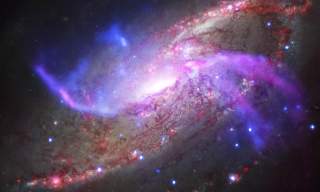 Space Family Fun Days