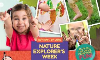 Nature Explorer's Week | Godstone Farm