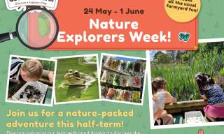 Nature Explorer's Week | Godstone Farm