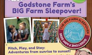 The Big Farm Sleepover | Godstone Farm