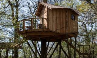 Knepp Camping