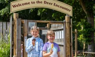 Summer at New Forest Wildlife Park