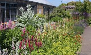 Selsey Open Gardens