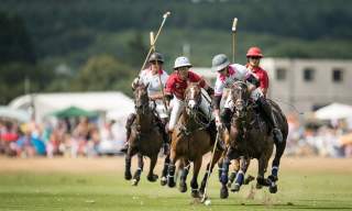 Cowdray Park Polo