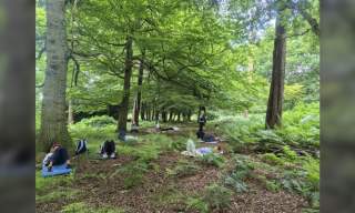 Forest Bathing