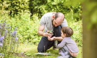 Discovery Day – Secretive spiders