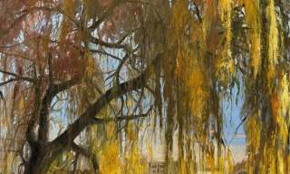 Caron Buckingham-Rhyder - Between Root and Sky