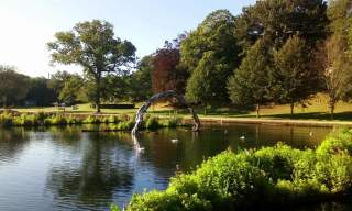 Alexandra Park & St Leonards Gardens Loop