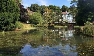 Alexandra Park