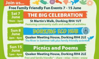 Dorking's Big Swap Switch Share