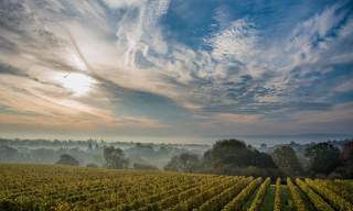 Ambriel Sparkling