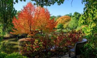 RHS Garden Wisley