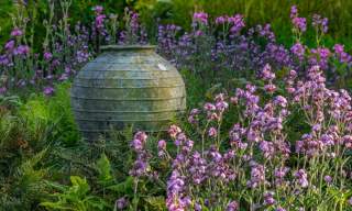Summer Propagation Workshop
