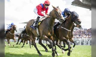 Race Meeting