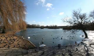 Baffins Pond