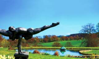 High Clandon Estate Vineyard