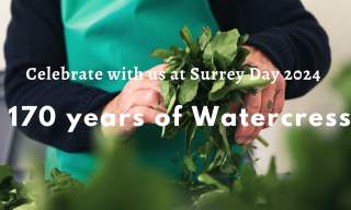 Kingfisher Surrey Day celebrating 170 years growing watercress