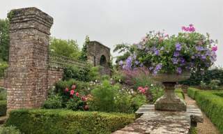 The National Garden Scheme: Bignor Park, Pulborough Open Garden