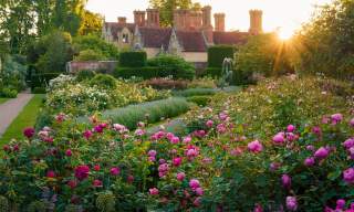 Borde Hill Garden