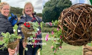 Botanical & Willow Workshops | Hedges and Hurdles