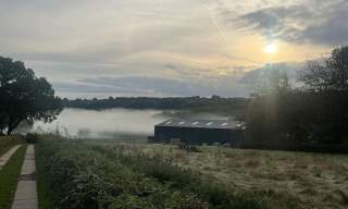 Lakedown Brewing Co.