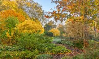 Autumn Garden Tutorial