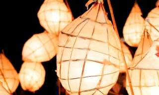 Wonderful Willow - Craft Workshop | Surrey Museums Partnership