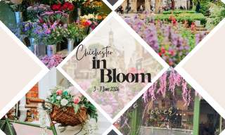 Chichester in Bloom