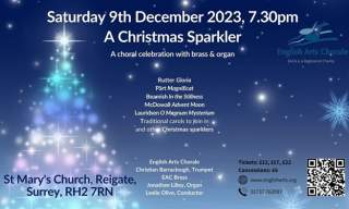 A Christmas Sparkler