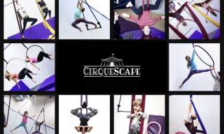 Circus Workshops