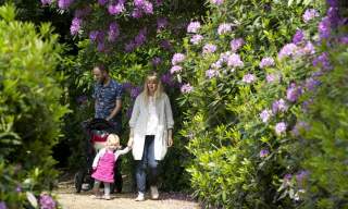 Claremont Landscape Garden