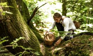 Autumnal Foraging Walk at Cowdray