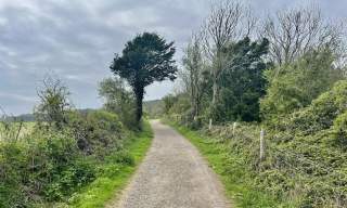 Cycle Route: Kingley Vale & the South Downs Way (24 miles, Southern eBike Rentals)