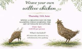 Weave your own willow chicken