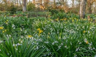 Spring Garden Tutorial