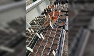 Propagation Workshop