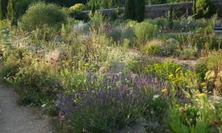 Knepp Rewilded Walled Garden