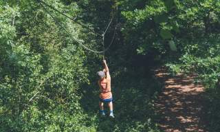 May Half Term Fun at Wild Wood Treetop Adventure