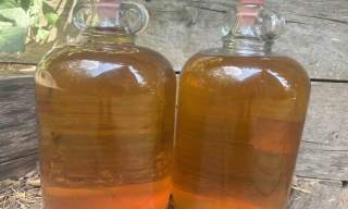 Misty Moon Cider Making Courses  | Rural Life Living Museum