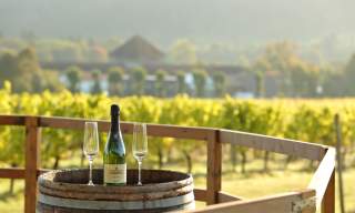 Denbies One Day Wine Enthusiast Workshops