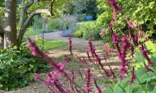 National Garden Scheme:  Denmans Garden, Fontwell