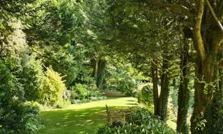 The National Garden Scheme: Down Place South Harting: Open Garden