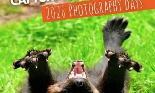 Animal Photography days (selected dates)