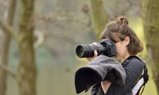 Nature and Close-up / Macro Photography Workshop