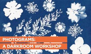 Photograms: A Darkroom Workshop | Frensham Heights