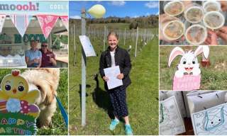 Easter Trail | Albury Vineyard - SOLD OUT
