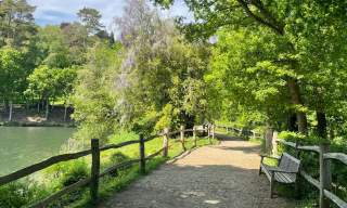 Winkworth Arboretum National Trust
