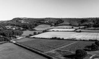 Everflyht Vineyard